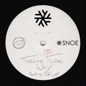 Techno Tupac - Why (incl. Beth Lydi Remix) // SNOE123